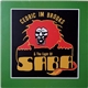 Cedric Im Brooks & The Light Of Saba - The Magical Light Of Saba